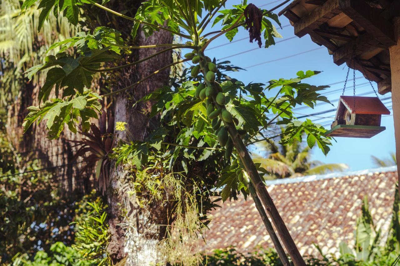 Pouso Do Farol Hotel Ubatuba Exterior photo